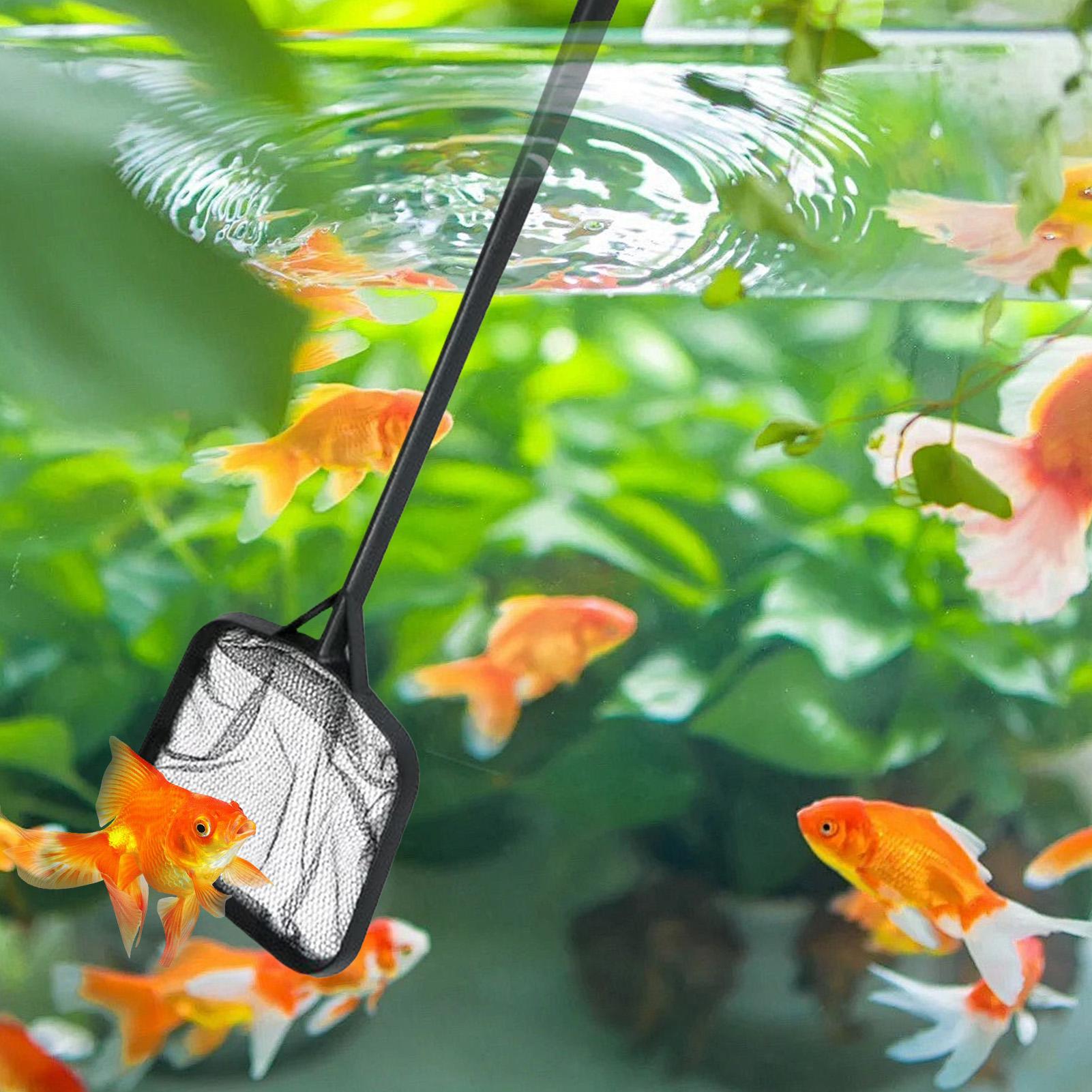 Poolnetze zur Reinigung, tragb – Ocean Aquarium Bewertung und Preis