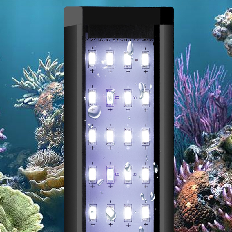 Professionelle LED-Aquariumbel – Reef Lighting Bewertung und Preis