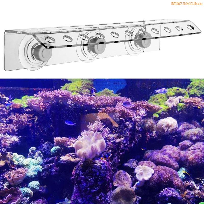 K1AE Acryl-Korallenfragmentreg – Reef Aquarium Bewertung und Preis
