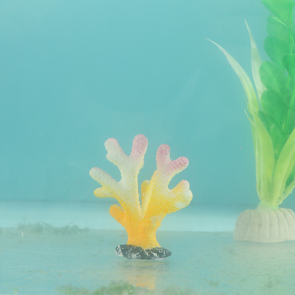 Künstliche Korallen Aquarium O – Ocean Aquarium Bewertung und Preis